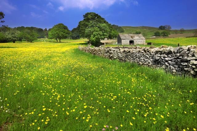 The Stables Daire Settle Dış mekan fotoğraf